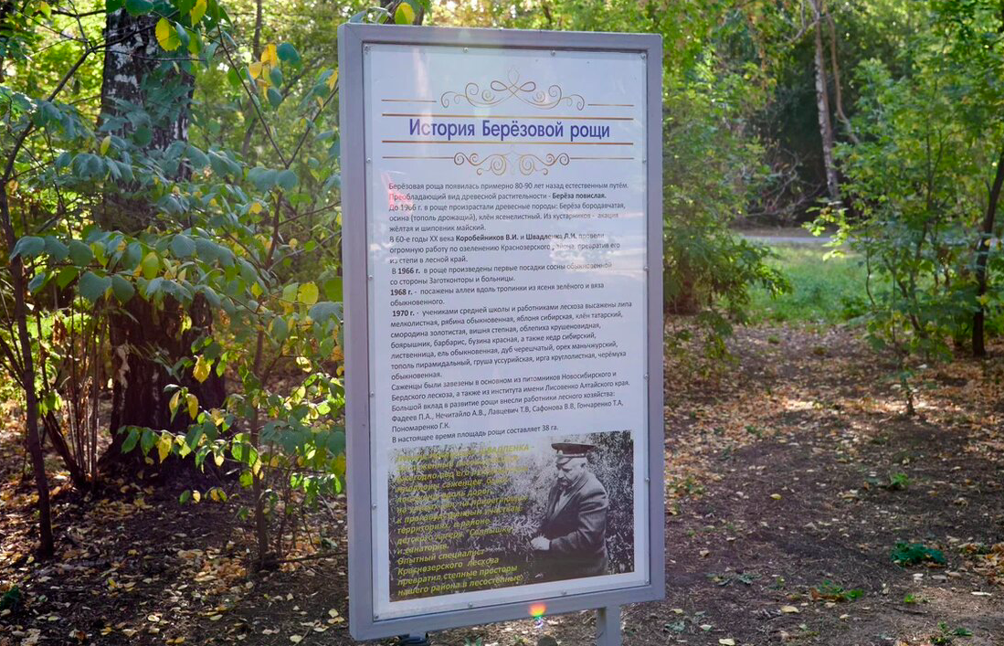 Фото Ужасы города. Опубликованы самые страшные легенды о Новосибирске в пятницу 13-го 5